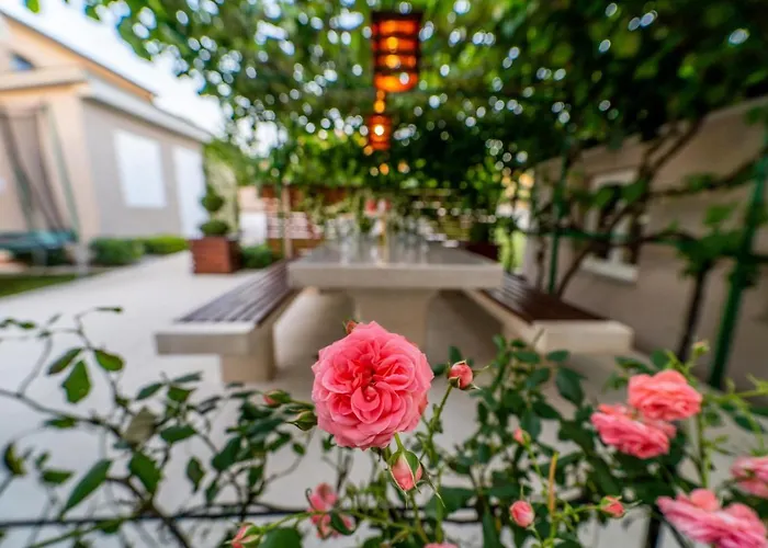 아파트 Suncica 풀라